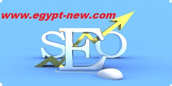 أفضل المواقع والادوات لفحص SEO موقعك لتحسين ترتيب موقعك على ويب