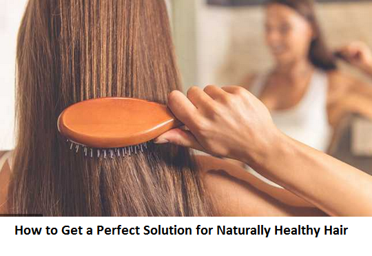 How to Get a Perfect Solution for Naturally Healthy Hair How to Get a Perfect Solution for Naturally Healthy Hair