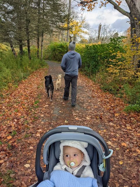 Windham Path Catskills NY