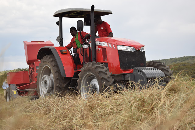 Forward-planning and acquiring the right agricultural machinery are the two critical practices that farmers can adopt to improve the timeliness.