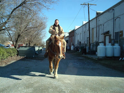 horse in Littleton