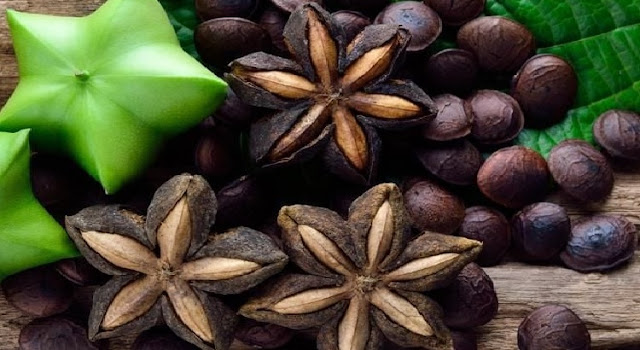 Beragam Manfaat Kesehatan dari Mengonsumsi Kacang Sacha Inchi