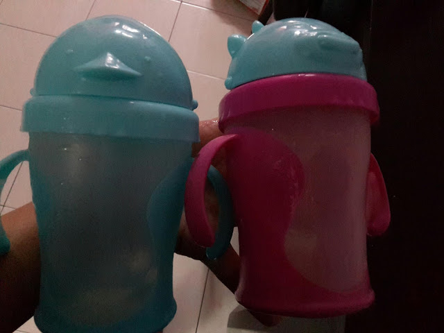 5 Sebab Memilih Basilic Botol Straw Untuk Anak