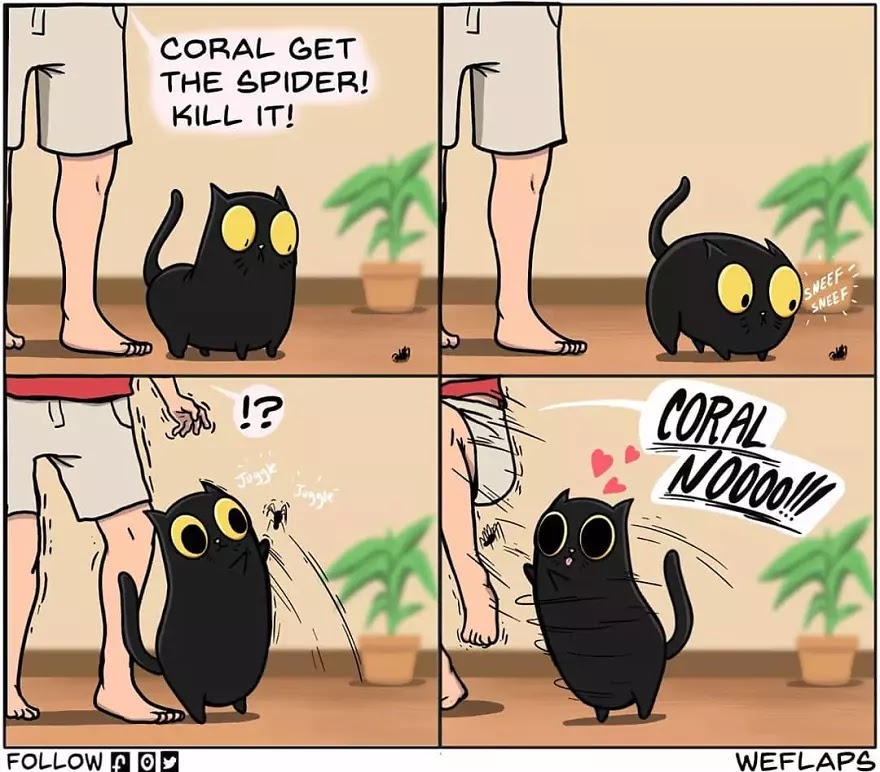 30 Hilariously Honest Comics That Depict What Living With A Cat Is Like