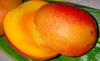 Can i eat mango during first trimester of pregnancy