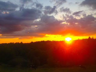 While reaching the temple, Sun was setting in the West.