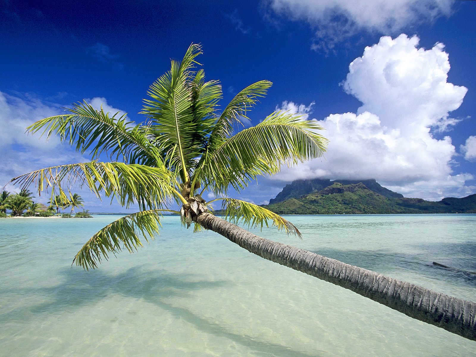 World Visits Tropical Island In Germany Cool Photos HD Wallpapers Download Free Images Wallpaper [wallpaper981.blogspot.com]
