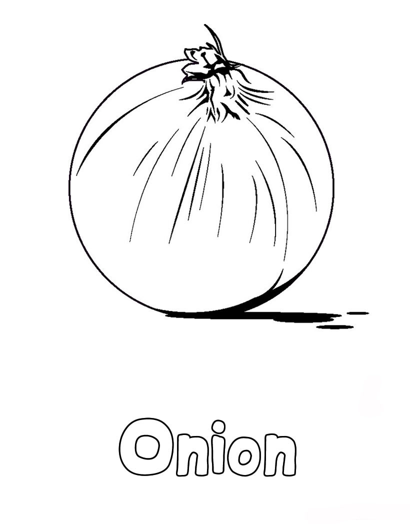 Onions Coloring Pages To Kids | Learn To Coloring