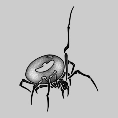 You can DOWNLOAD this Spider Tattoo Design - TATRSP21