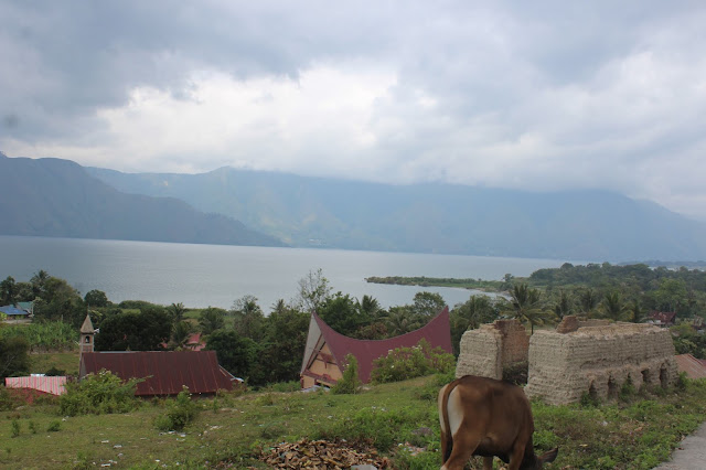 Jokowi Teken Perubahan Nama Kabupaten Toba Samosir Jadi Toba