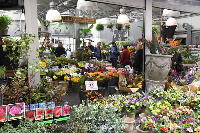 荷蘭, Bloemenmarkt, flowers market, 花市場, 阿姆斯特丹, amsterdam, holland, netherlands