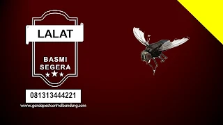 Garda Solusi Pest Control Bandung