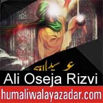 https://www.humaliwalyazadar.com/2018/09/ali-oseja-rizvi-nohay-2019.html