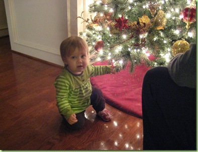 IMG_2498 IMG_2498