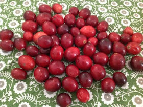 cranberries on a colorful green napkin