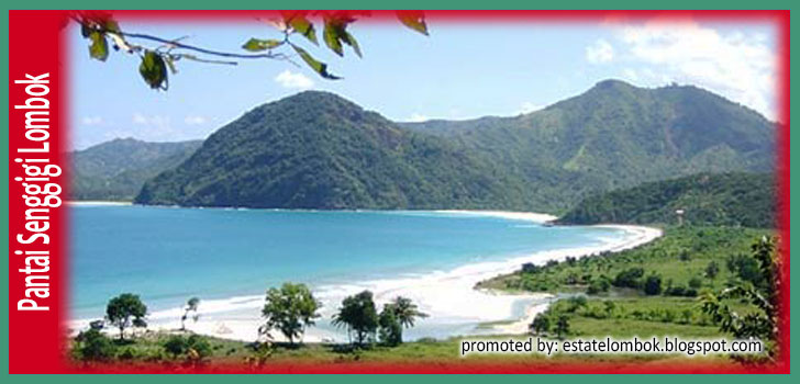 Lombok Property And Villas Real Estate