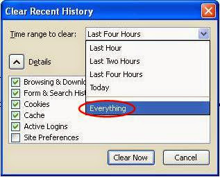 clear-firefox-cache-2.JPG