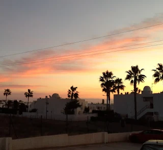 beautiful sunrise silhouetting the palm trees outside