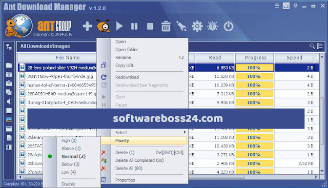 Ant Download Manager Pro Free Download