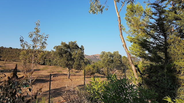 auf dem Stellplatz Royal Maxi auf dem Esterel Caravaning Campingplatz hatten wir einen tollen Ausblick