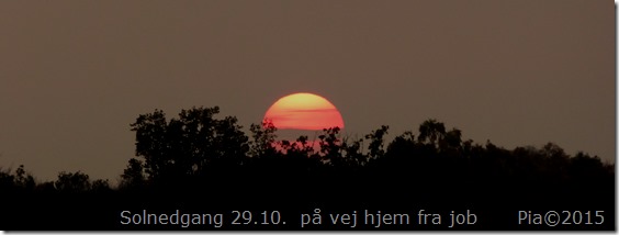 P1090313