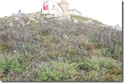 Oporrak 2011, Galicia -Fisterra  23