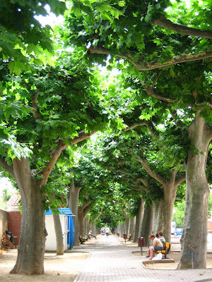 Daroca - paseo