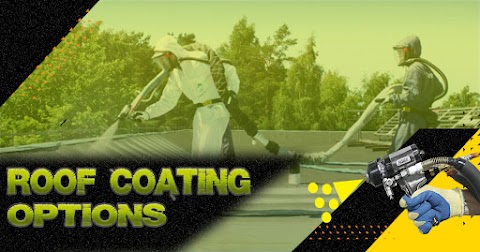 Roof Coating Options