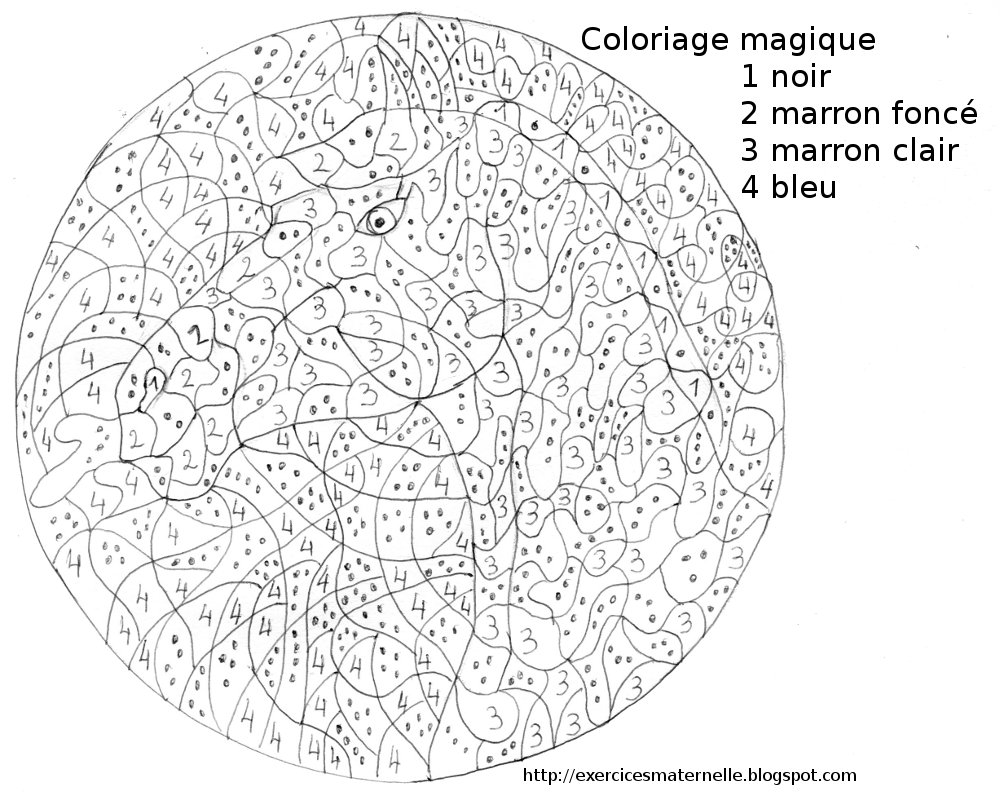 coloriage magique un cheval