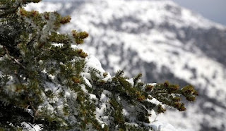 Έκτακτο δελτίο από την ΕΜΥ: Πότε θα πέσουν χιόνια