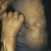 Fotos inéditas mostram que bebês sofrem com o estresse da mãe dentro do útero