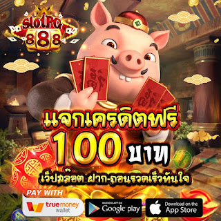 เครดิตฟรี100บาท