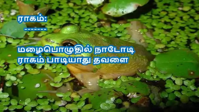 Tamil Haiku Kavithai 167