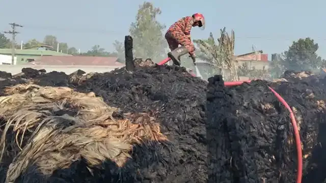 উল্লাপাড়া পুড়ে গেছে ১৫ হাজার মন পাট, ক্ষতির পরিমান ১০ কোটি টাকা