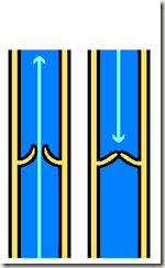 Venous_valve