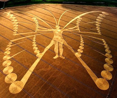 Indonesia Crop Circle. of indonesias first crop