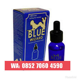  Grosir Blue Wizard Makassar
