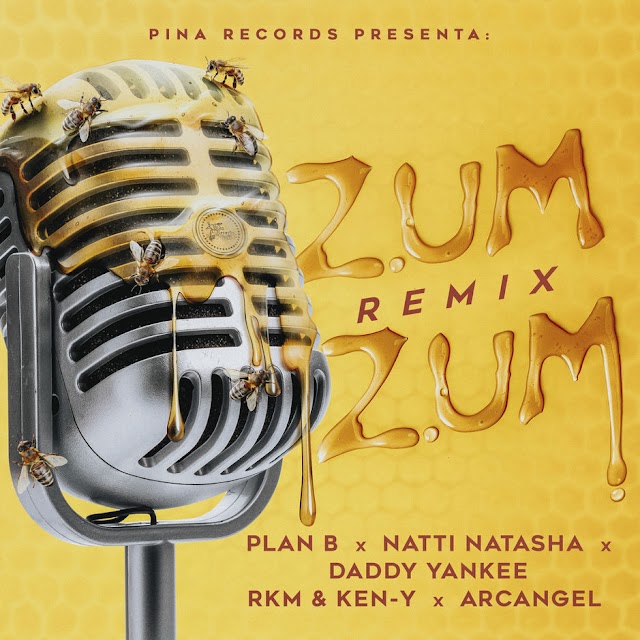 Plan B, Natti Natasha & Daddy Yankee - Zum Zum (Remix) [feat. RKM & Ken-Y & Arcángel] - Single [iTunes Plus AAC M4A]