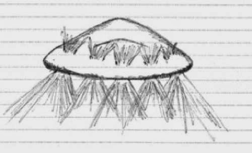 February 2009 Texas Ufo Reports Summary
