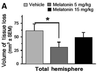 図：メラトニンの脳卒中治療効果