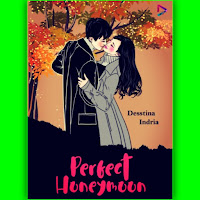 Novel perfect Honeymoon