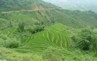 Trekking por Sapa.