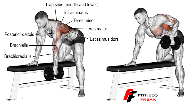 Dumbbell single-arm row