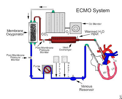 fmc wake dialysis health center