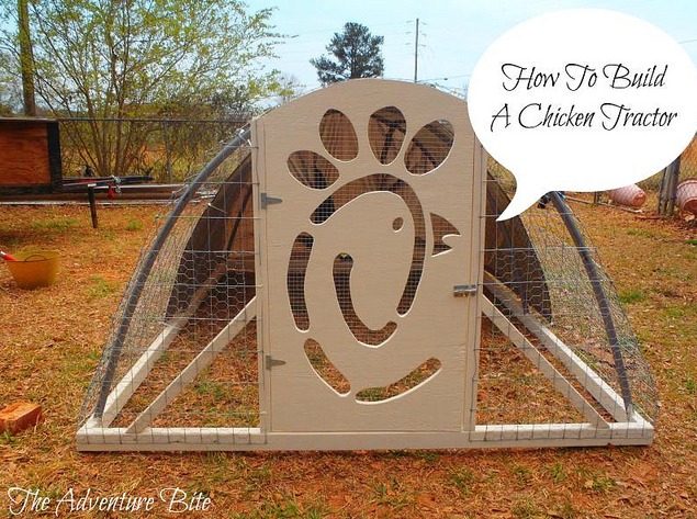 How to Build a Chicken Tractor | Fresh Eggs Daily®