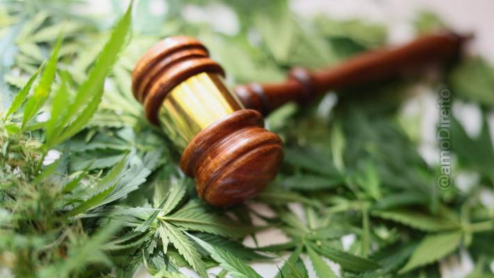 juiz autoriza farmacia manipulacao fabricar produtos cannabis