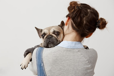 Ya tengo más perros en casa... ¿Cómo integramos al nuevo miembro de la familia?