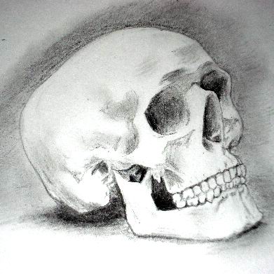 150 pm You don't write because you want to say something skull drawings