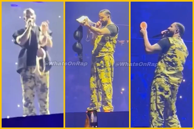 Drake Pauses Concert After Fan Throws Bra on Stage