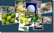 DXN-MyCo-Veggie-Ingredients